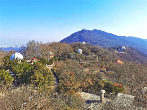 南京紫金山|紫金山(南京紫金山):行前必讀,景區動態,景區介紹,關鍵信息,門票預。